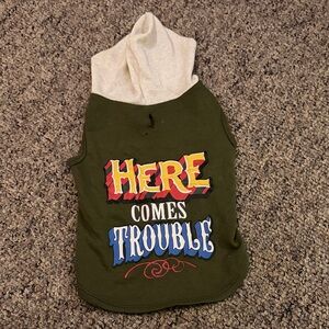 Green Dog Hoodie with Fun Print